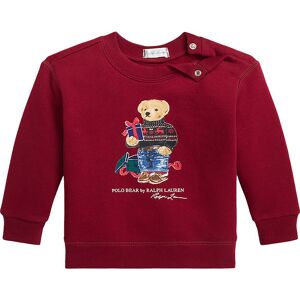 Polo Ralph Lauren Sweatshirt - Holiday - Rød M. Bamse - Polo Ralph Lauren - 68 - Sweatshirt