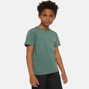 Dickies T-Shirts - Mapleton - Dark Forest - Dickies - 4-5 År (104-110) - T-Shirt