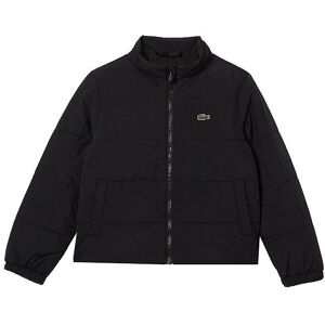 Lacoste Dynejakke - Blouson - Black - Lacoste - 5 År (110) - Dunjakke