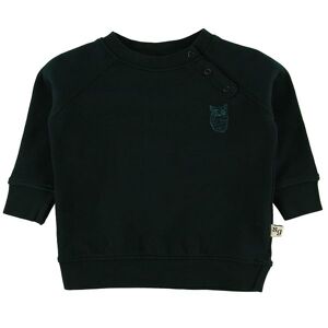 Soft Gallery Sweatshirt - Alexi - Pine Grove - Soft Gallery - 68 - Sweatshirt