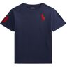 Polo Ralph Lauren T-Shirt - Refined Navy M. Rød - Polo Ralph Lauren - 10-12 År (140-152) - T-Shirt
