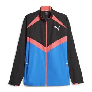 Puma FD RUN ULTRAWV - Chaqueta hombre puma black/ultra blue