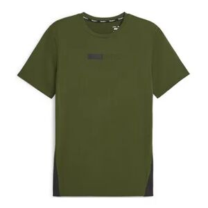 Puma EFS DRIRELEASE - Camiseta hombre myrtle