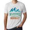 Ultrabasic ULTRABÁSICO - Homme Graphique Camiseta Camiseta gráfica Wilderness NORWAY White Smoke