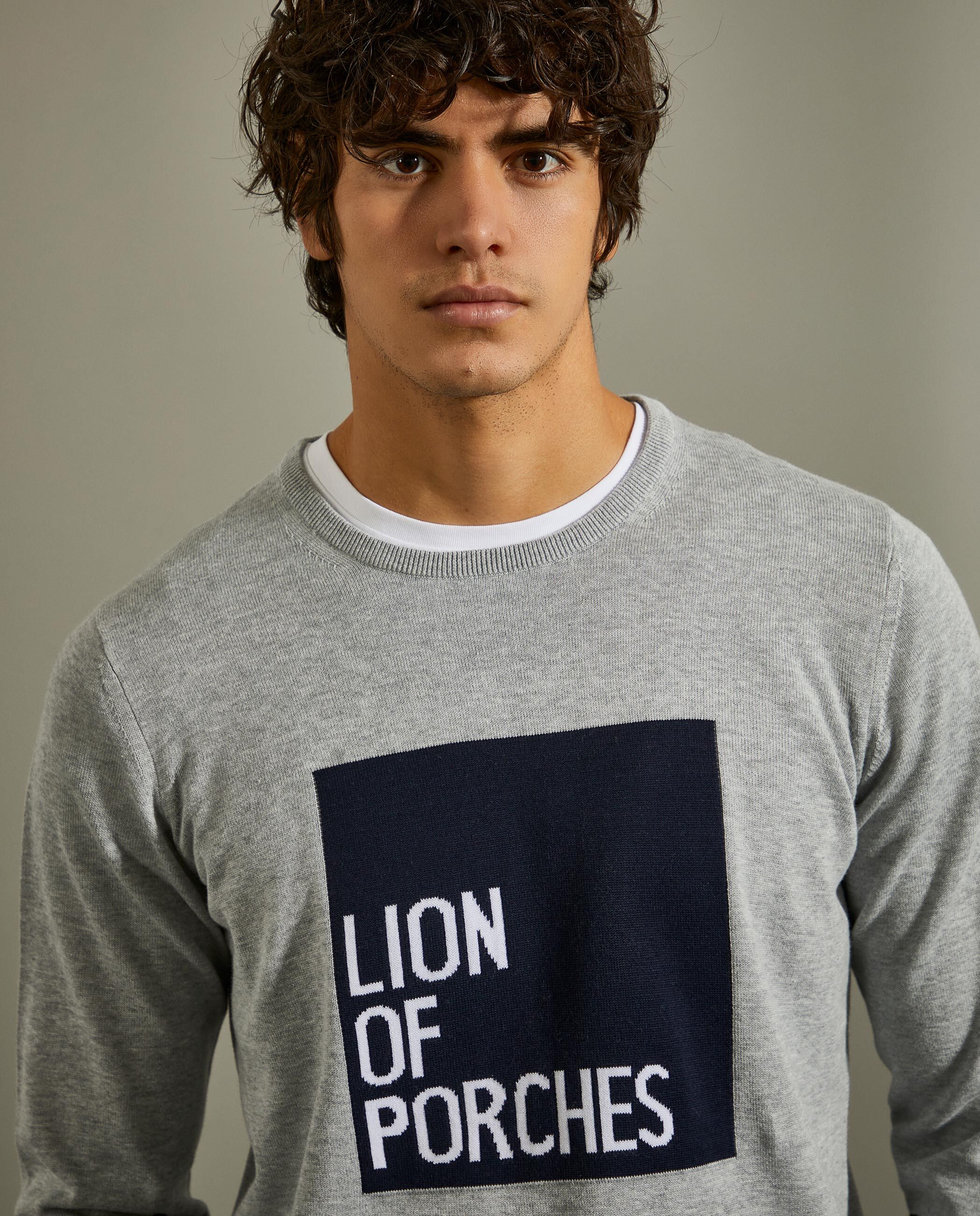 Lion of Porches Jersey Gris