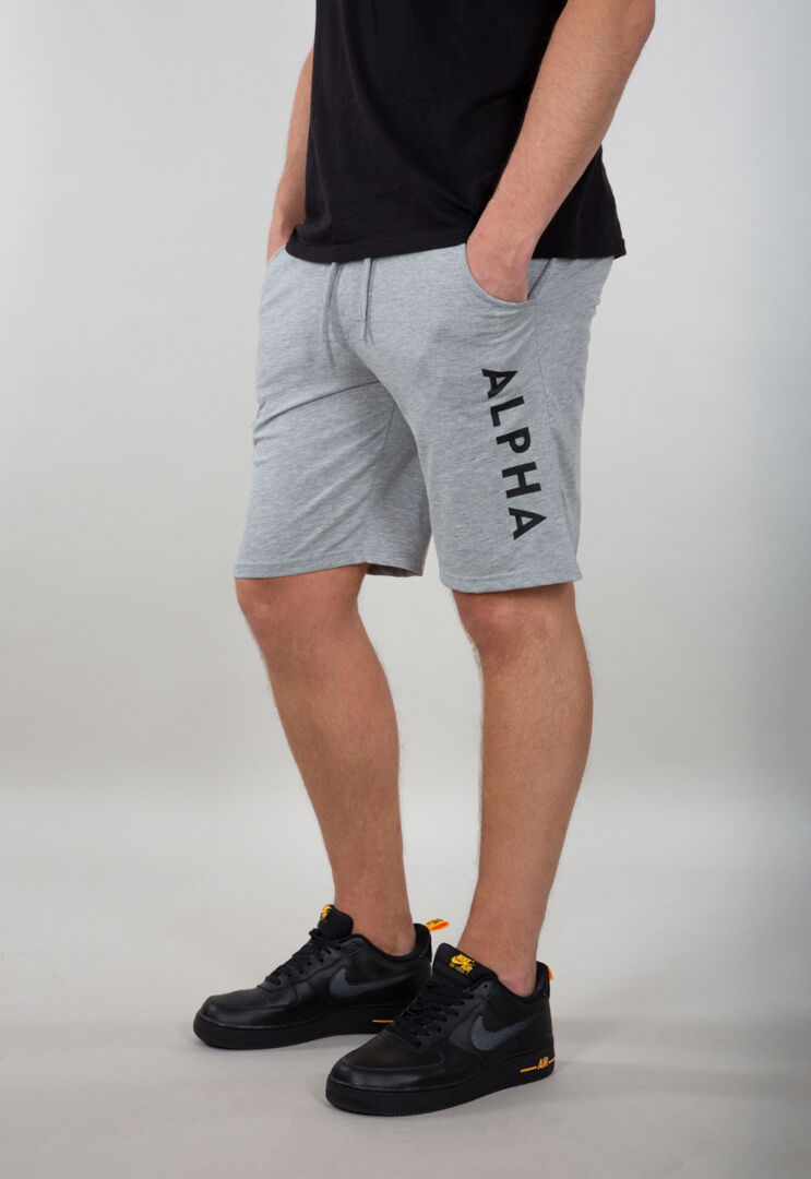 Alpha Jersey Pantalones cortos - Gris (L)