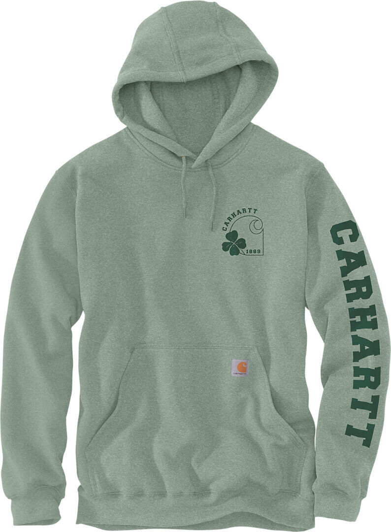 Carhartt Loose Fit Midweight Shamrock Sudadera con capucha - Verde