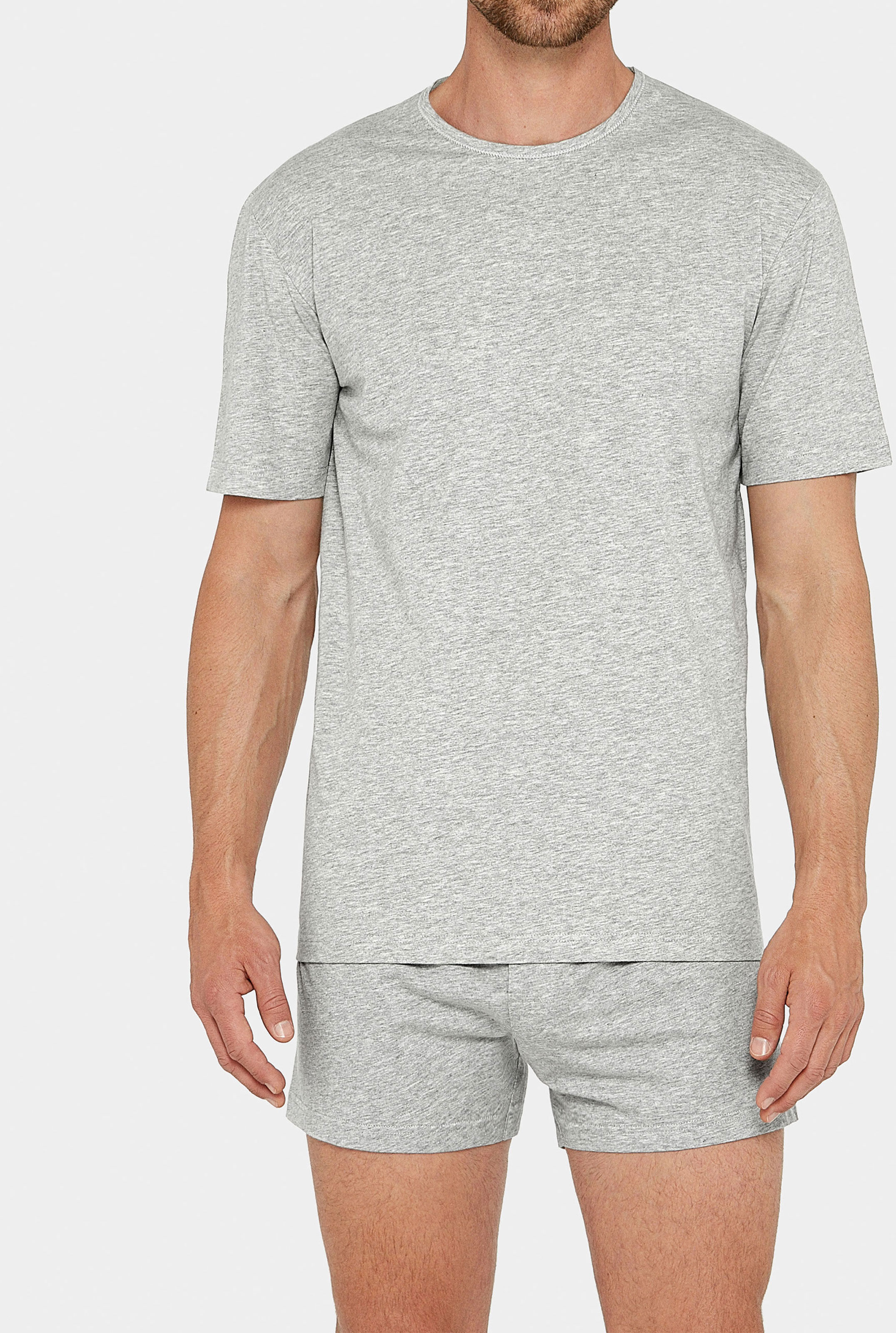 IMPETUS T-shirt de hombre Pure Cotton Gris (L)