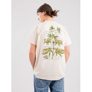 Dravus Plantbased Lifestyle T-paita