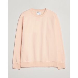 Colorful Standard Classic Organic Crew Neck Sweat Paradise Peach - Vihreä - Size: XS S M L XXL - Gender: men