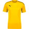 Puma T Goal Trg Jsy T-paidat YELLOW - male - YELLOW - S