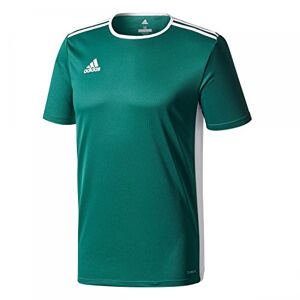 Adidas Entrada18 T-Shirt Homme, Vert (Collegiate Green/White), XL - Publicité