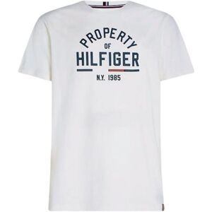 T-shirt pour hommes Tommy Hilfiger Graphic SS Tee - ancient white blanc S male - Publicité