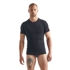 icebreaker Anatomica Short Sleeve Crewe en Merinos - T-shirt en laine merinos homme Black / Monsoon XL