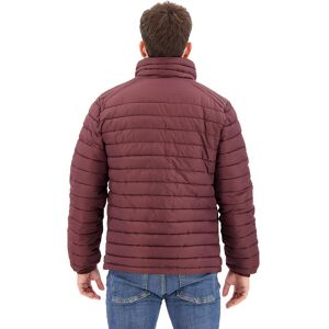 Superdry Studios Non Fuji Jacket Rouge M Homme Rouge M male - Publicité