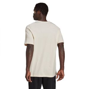 Adidas Fcy Short Sleeve T shirt Blanc L Regular Homme Blanc L male