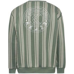 Karl Kani Small Signature Striped Sweatshirt Vert L Homme Vert L male