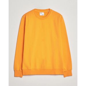 Colorful Standard Classic Organic Crew Neck Sweat Sunny Orange