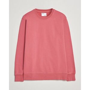 Colorful Standard Classic Organic Crew Neck Sweat Raspberry Pink