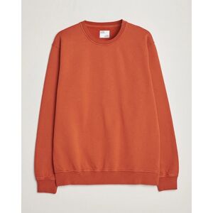 Colorful Standard Classic Organic Crew Neck Sweat Dark Amber