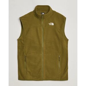 The North Face Glaicer Fleece Vest New Taupe Green