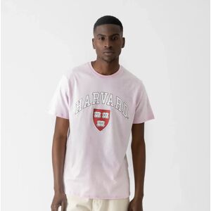 Us College Tee Shirt Harvard rose l homme