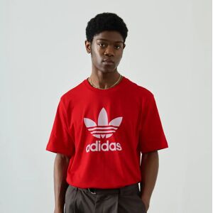 Adidas Originals Tee Shirt Trefoil Adicolor rouge s homme