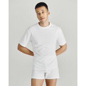 IMPETUS T-shirt d'homme Pure Cotton BLANC L homme