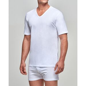 IMPETUS T-shirt d'homme Col V Pure Cotton BLANC L homme