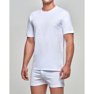 IMPETUS T-shirt d'homme Pure Cotton BLANC L homme