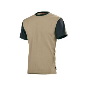 Adolphe Lafont Tee-shirt home raglan beige / noir