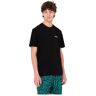 Dickies Clackamas Box Short Sleeve T-shirt Vert L Homme Vert L male