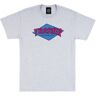 Thrasher S/S Tee Ash Grey - Férfi - Rövid ujjú póló Thrasher - Szürke - 145157 - Méret: L