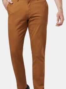 Tentree Yale Pant Rubber Brown Size: (30 Regular)