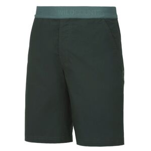 Wild Country Session M - pantaloni corti arrampicata - uomo Green L