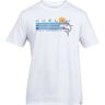 hurley T-SHIRT AHI 100 M