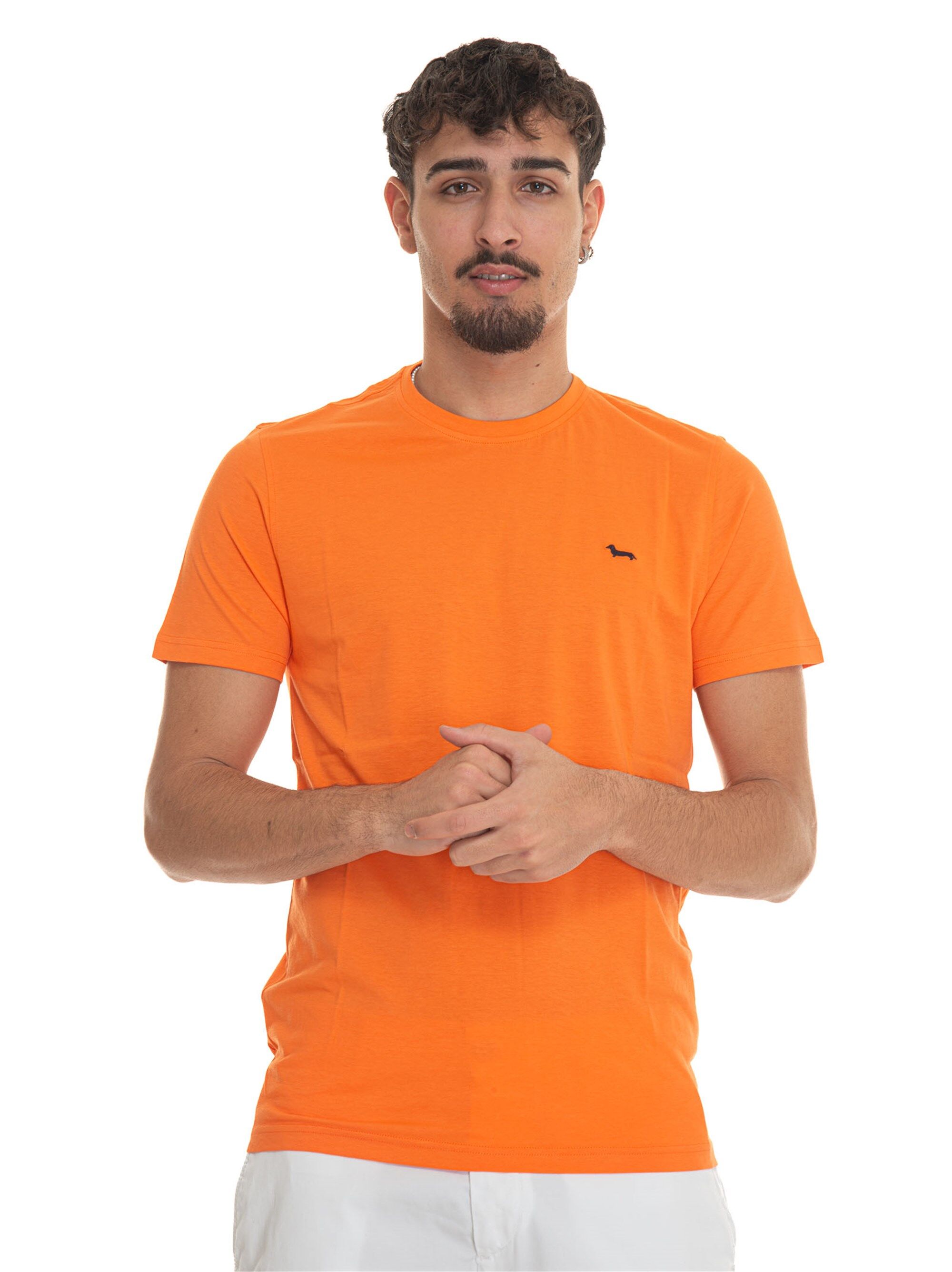 Harmont & Blaine T-shirt girocollo mezza manica INL001 Arancio Uomo XL
