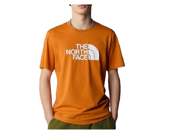 The North Face T-Shirt Uomo Art Nf0a87n5 PCO1