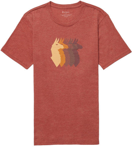 Cotopaxi Llama Sequence M - T-shirt - uomo Red M