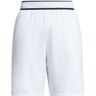 Lacoste x Daniil Medvedev gestreepte shorts - Wit