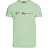 Tommy Hilfiger T-shirt Mint Gel  2XL