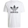 adidas Originals Adicolor T-shirt wit L Heren