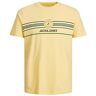 JACK & JONES PLUS JCOVIBE Tee SS Crew Neck PLS T-shirt, pale Banana, 3XL, geel (pale banana), 3XL