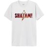 DC Comics Shazam Logo Movie MESHAZMTS006 T-shirt voor heren, wit, maat XXL, Wit, XXL