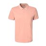 Kappa heren T-shirt ezio corporate man, Roze/Wit, S