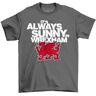 The Shirt Shack Funny It's Always Sunny in Wrexham Wales Dragon T-Shirt Hilarisch en Dragon-T.astic! Unisex bedrukt ontwerp. Breng de zonnige kant van Wales waar je ook gaat!, Grijs, 3XL