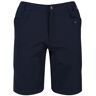 Regatta Heren delgado shorts Blauw 33 Male