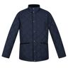 Regatta Geïsoleerde herenjas londyn quilted Blauw 3X-Large Male