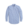 Big & Tall Classic Fit Gingham Shirt Blue/White Gingham TALL X Male
