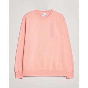 Colorful Standard Classic Organic Crew Neck Sweat Bright Coral